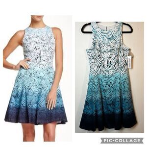 Maggy London Blue Ombré Floral Dress New NWT Sz 6